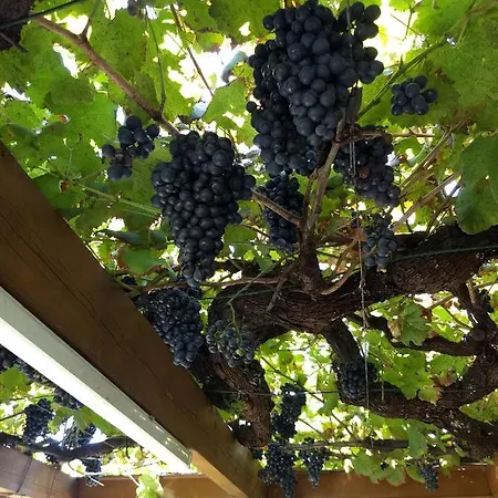 Vinosobroso Casa Rural Mondariz