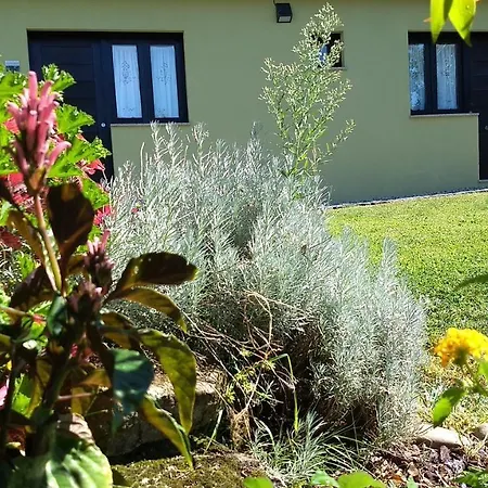 Vinosobroso Casa Rural *