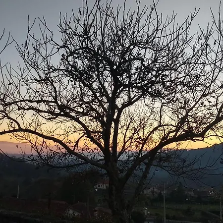 Vinosobroso Casa Rural Casa de Campo