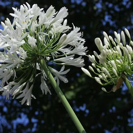 Casa de Campo Vinosobroso Casa Rural Mondariz