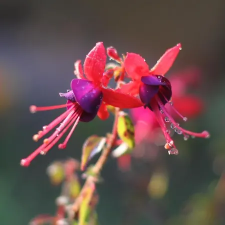 Vinosobroso Casa Rural Casa de Campo