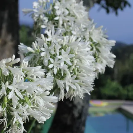 Casa de Campo Vinosobroso Casa Rural *