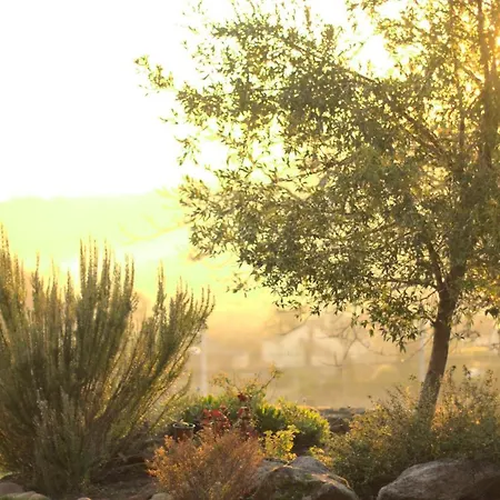 Vinosobroso Casa Rural Casa de Campo